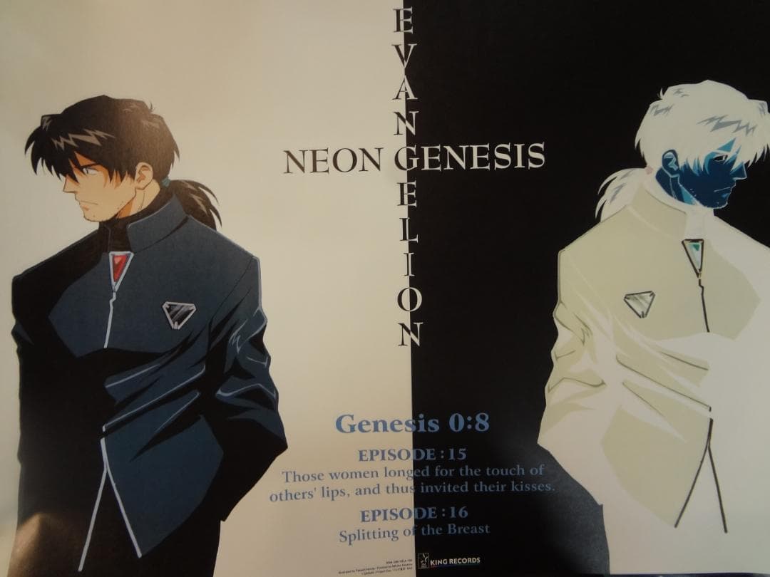 ヱヴァンゲリヲン シリーズ 非売品B2ポスター2０本セット