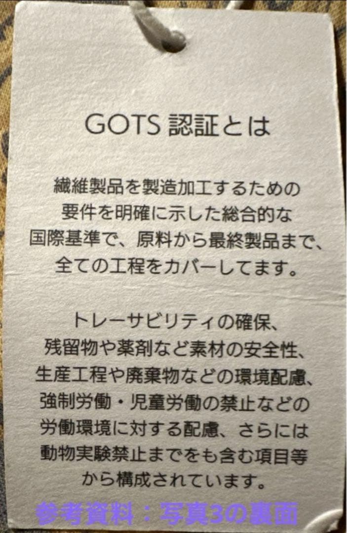 いのちめぐる冒険LIVE EARTH JOURNEY XL幻の白Tシャツ7分袖