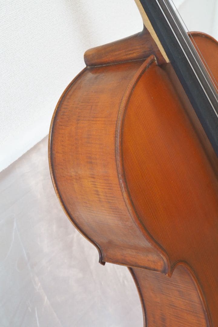 Gliga チェロ グリガ ムジリア Musilia 高級 ハードケース