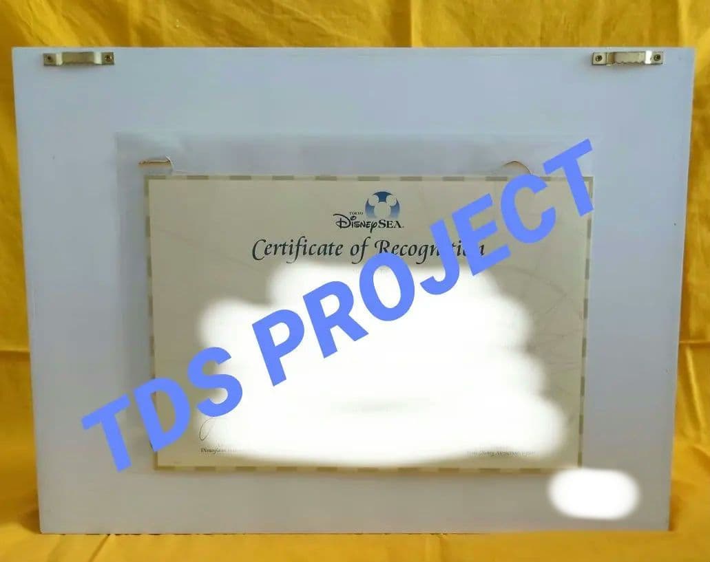 【超レア商品】東京ディズニーシー　キャラクター付きTDS地図　金色額付き