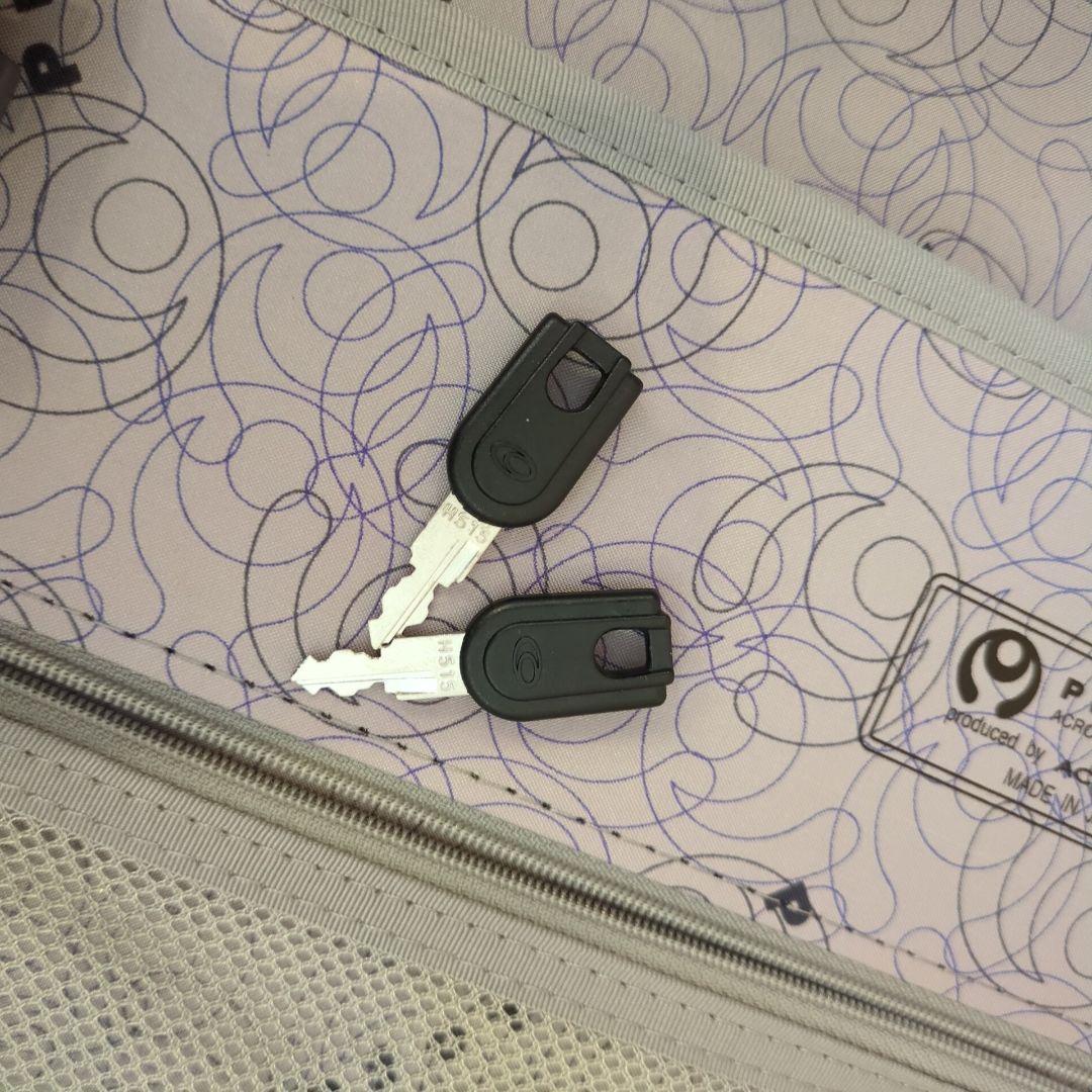 ProtecA プロテカ ゴールド スーツケース/65L エキノックスライト