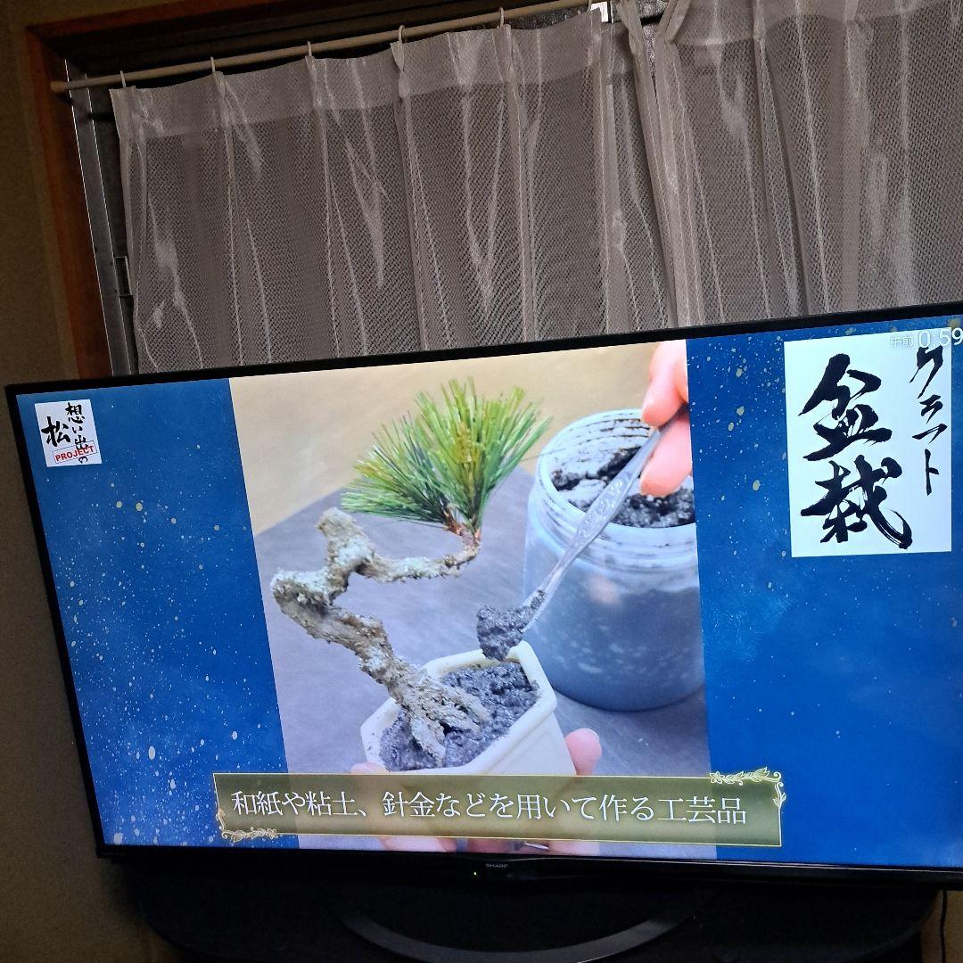 シャープ AQUOS 55インチ液晶テレビ 4T-55AJ1