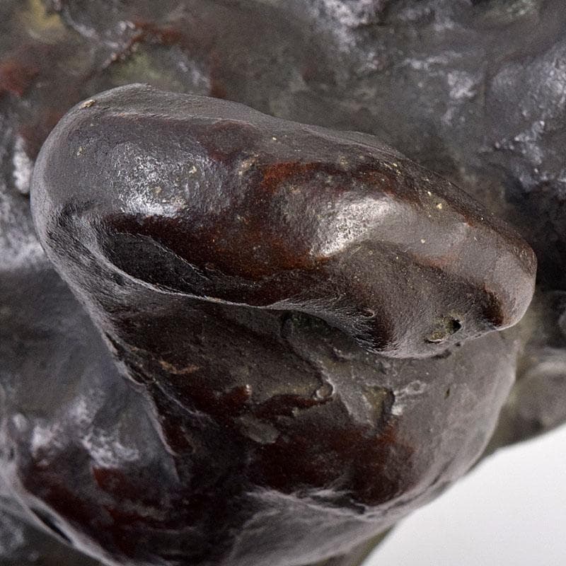 中国　古銅　家鴨　アヒル　置物　在銘　V　R8930