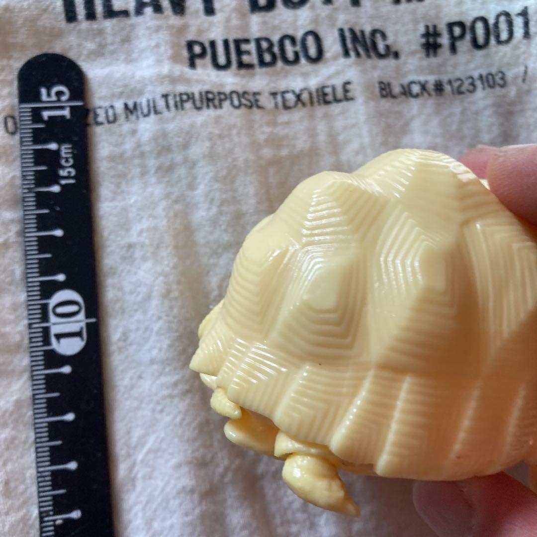 亀　フィギュア　ガチャ　バンダイ　ミルキーカラー　赤目