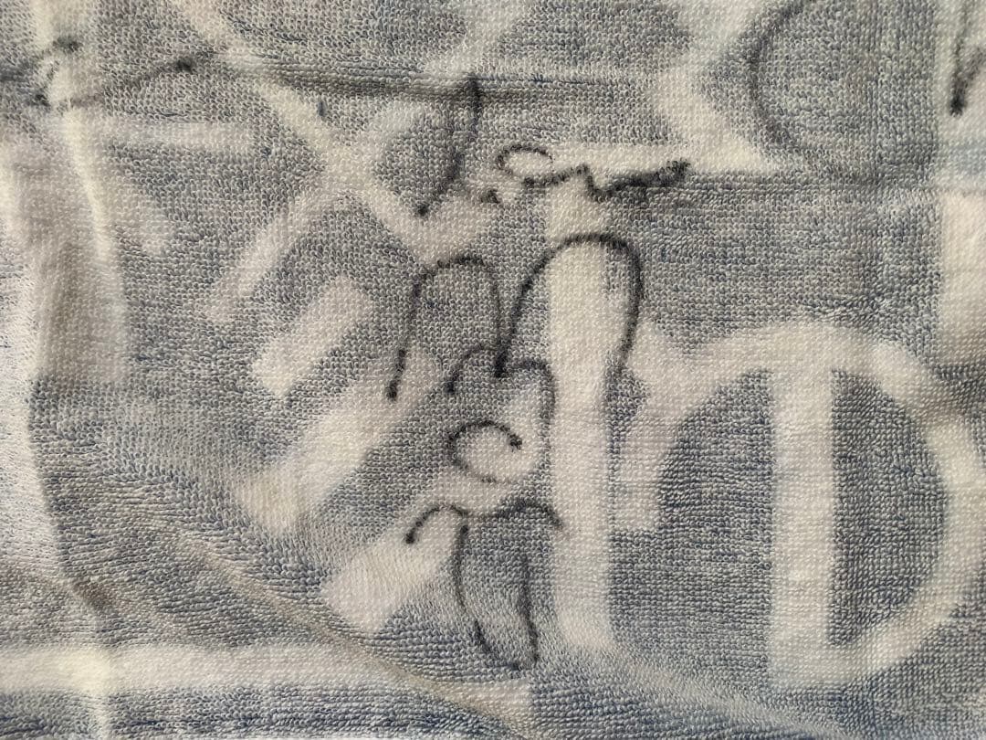 激レア世界の終わり 直筆サイン入りタオル