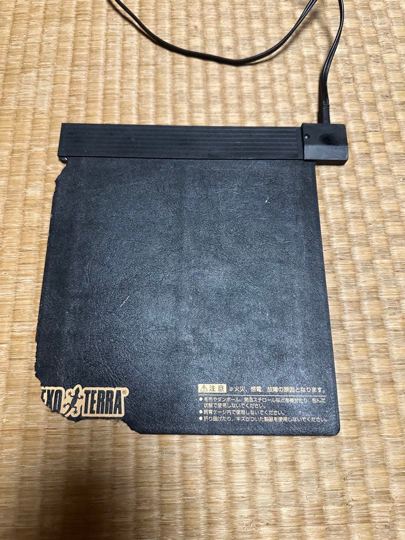 みどり商会 ケースバイケース レオパセット 発送不可