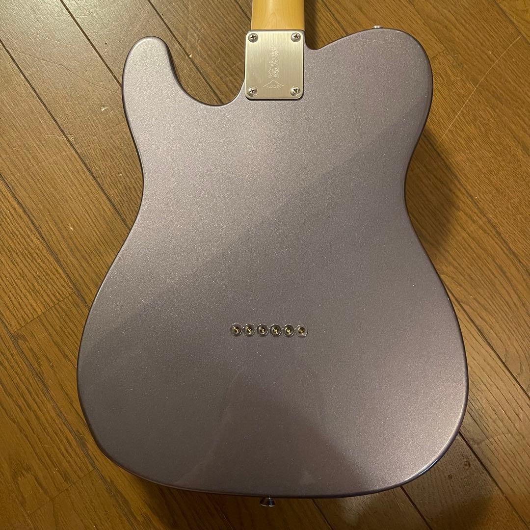 FGN(fujigen) NTE10RAL-CC/01【限定カラー】