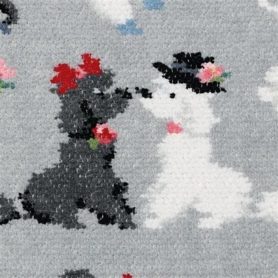 フェイラー　モンプティルル　プティバス