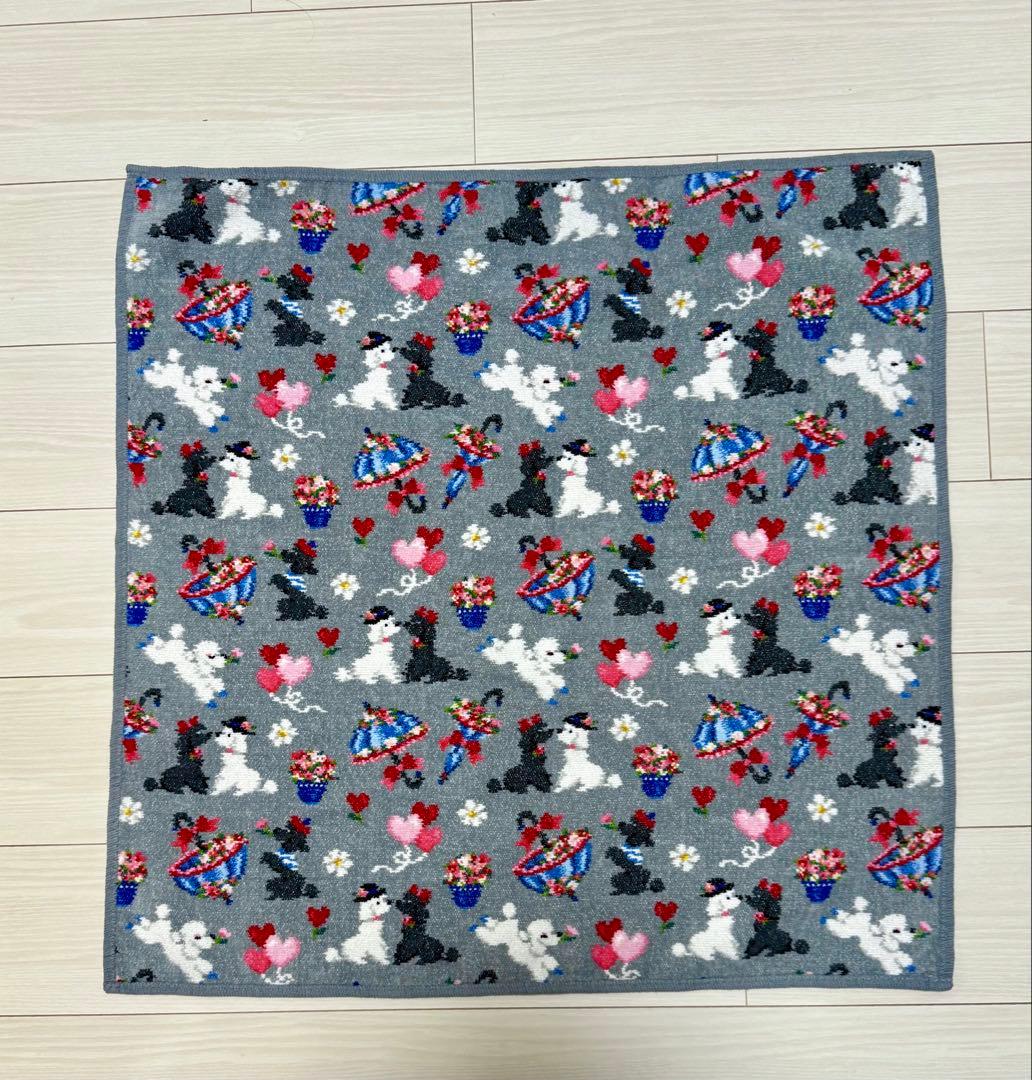 フェイラー　モンプティルル　プティバス