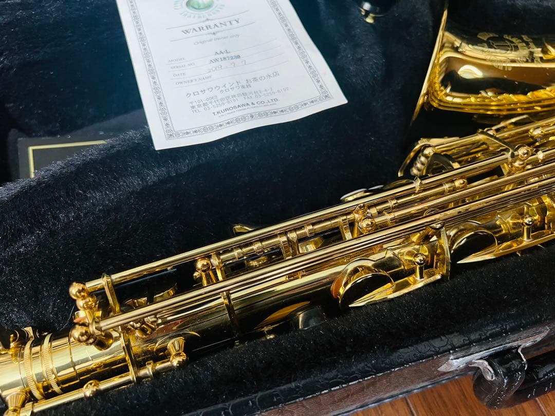 アルトサックス　キャノンボール　CannonBall