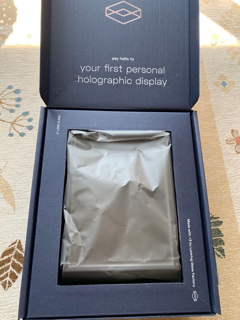 m*m様 Looking glass portrait