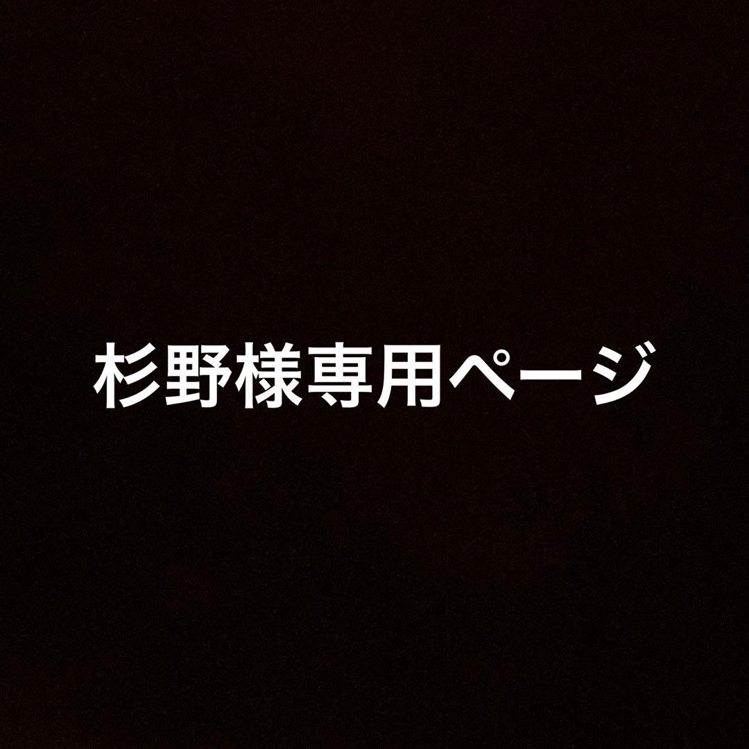杉野ページ　バハギア　野原工芸　工房楔　ダクト　こぶた　ラダイト