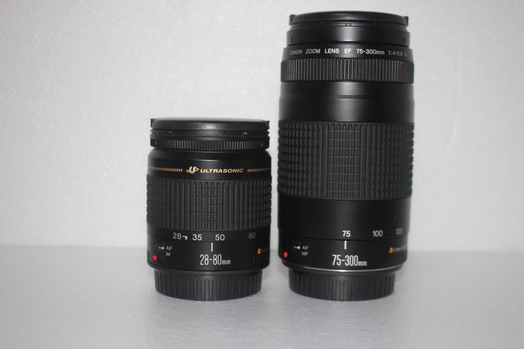 デジタル一眼レフカメラCanon EOS 80D 標準&望遠ダブルレンズセット