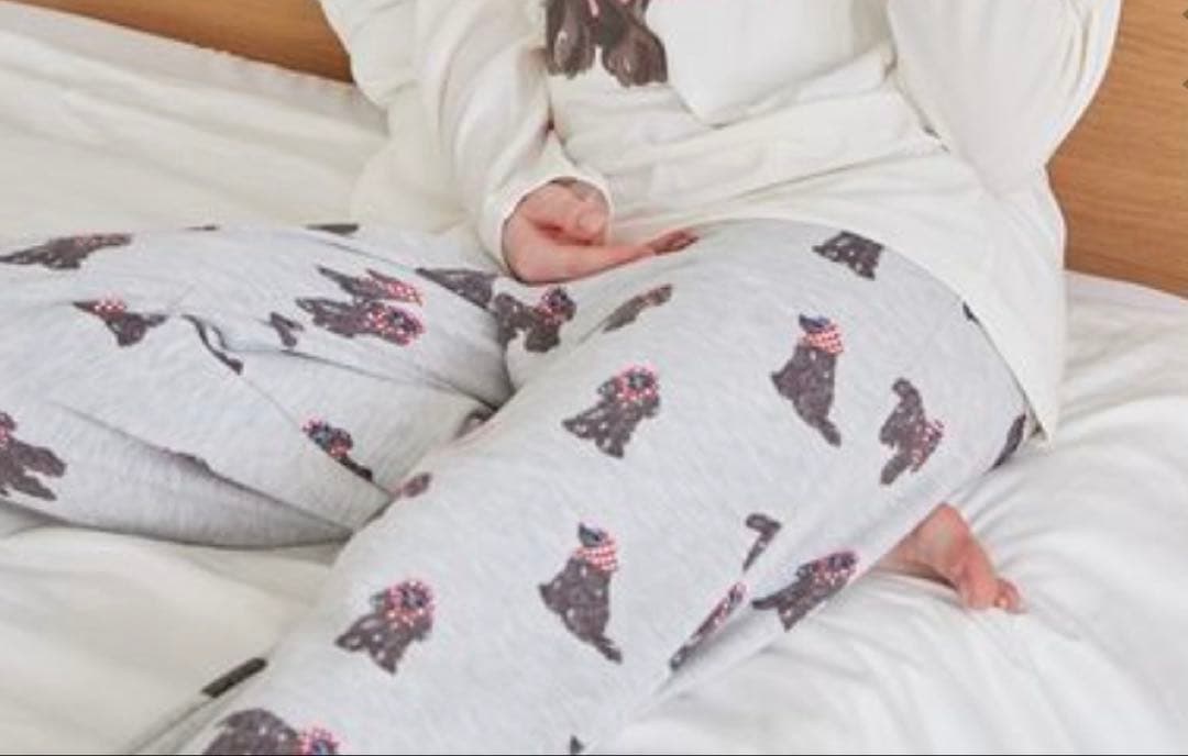 新品♡ジェラートピケ♡ スカーフDOGジャガードプルオーバー&ロングパンツセット