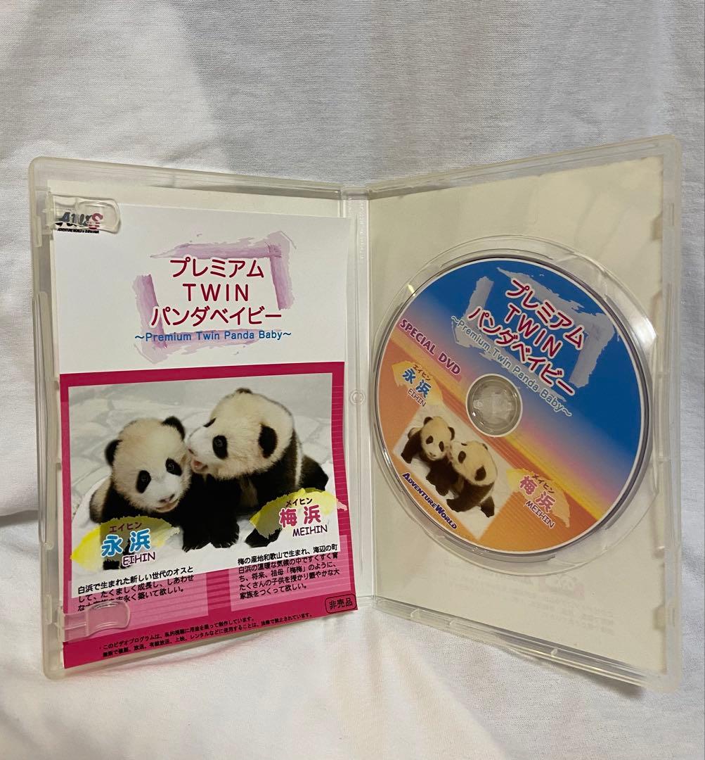 【非売品】アドベンチャーワールド　双子パンダ DVD 写真 A4フレーム レア