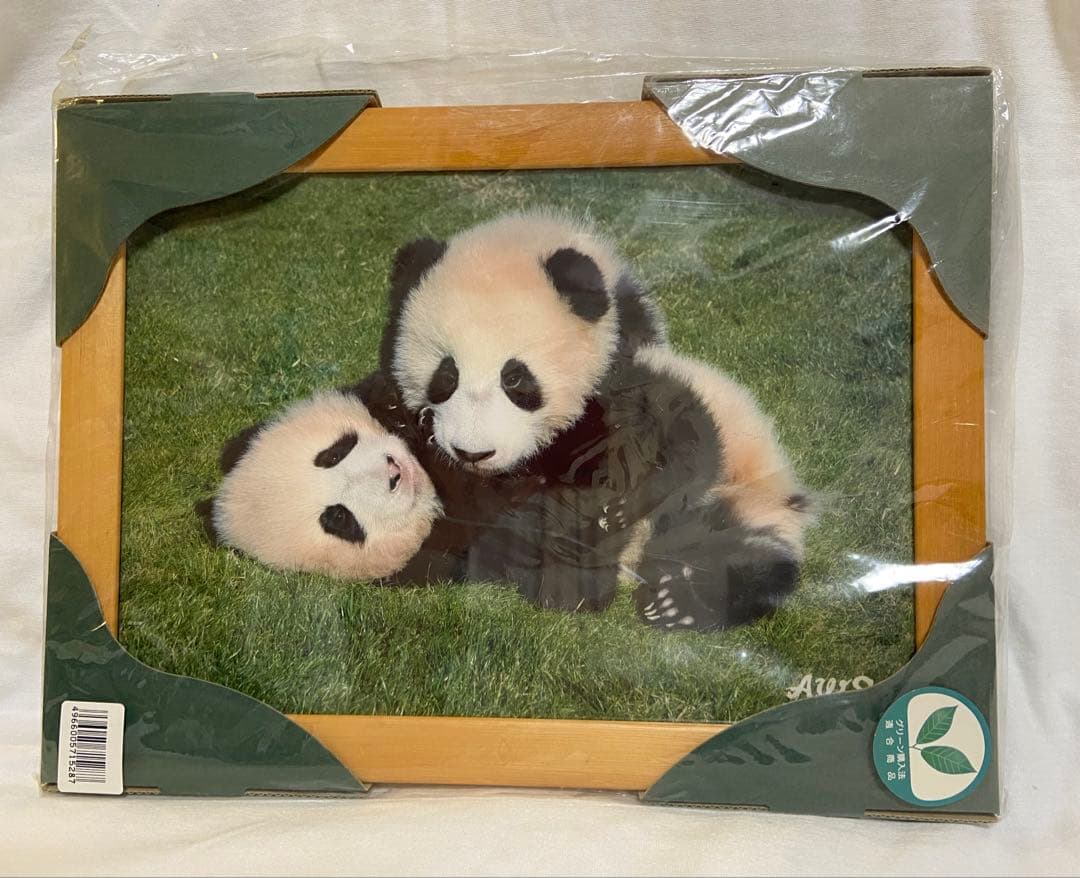 【非売品】アドベンチャーワールド　双子パンダ DVD 写真 A4フレーム レア