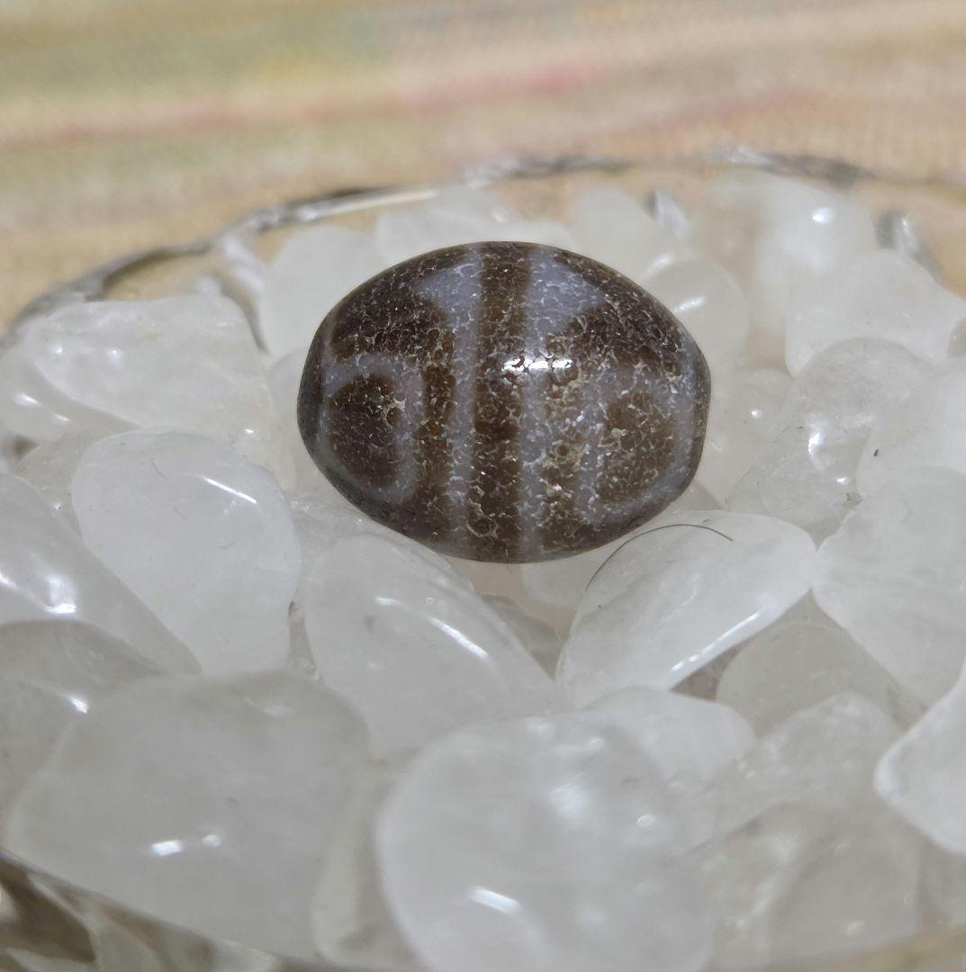 052　天珠　楕円形　虎牙蓮花天珠　dzibeads！