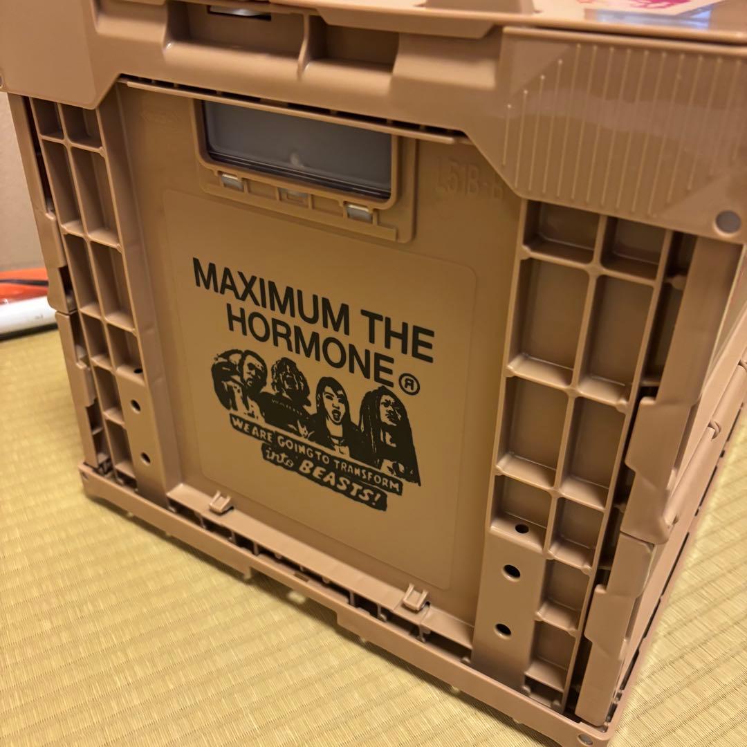 マキシマムザホルモン折りたたみコンテナボックス津田製麺所