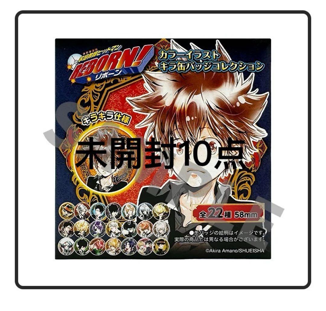 家庭教師ヒットマンREBORN！ ゴールデン缶バッジ　上海限定 中国限定 10点