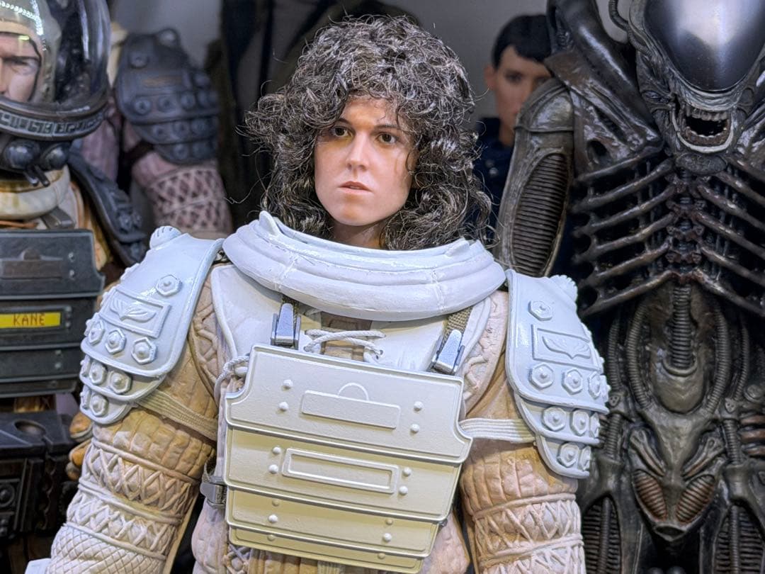 激レア エイリアン リプリー 1/6フィギュアヘッド (ドールヘアー版)