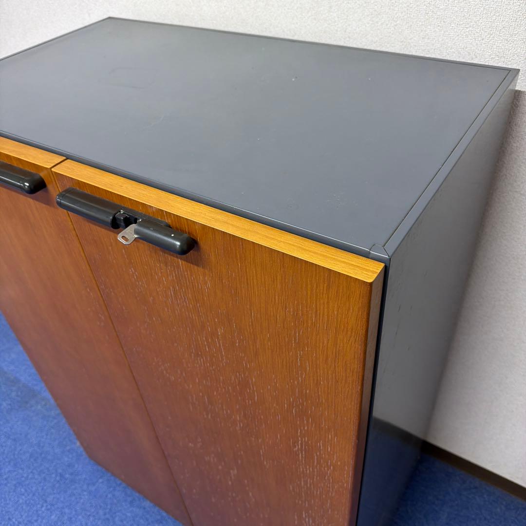 「 しんぞう 」 木製扉スチールキャビネット