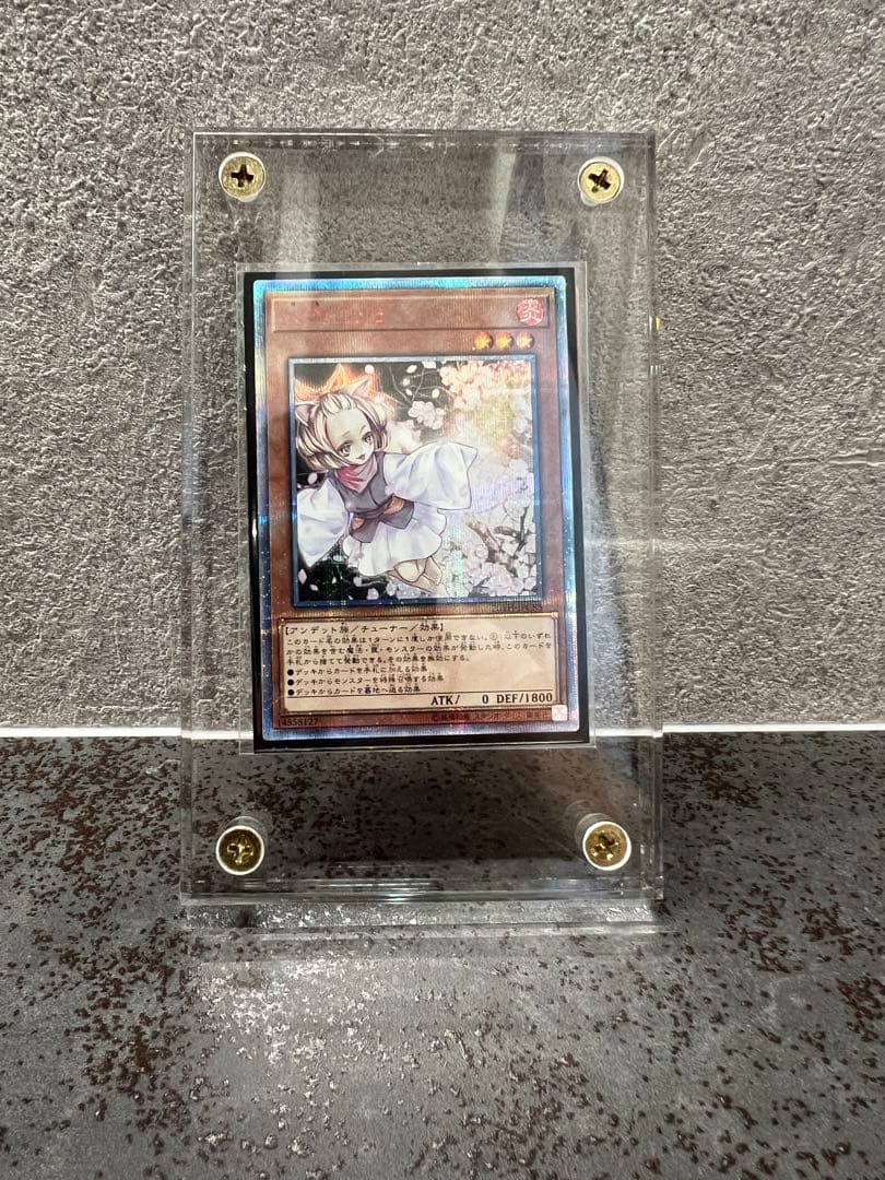 遊戯王OCG 灰流うらら20th & ブルーアイズオルタナティブホワイトドラゴン