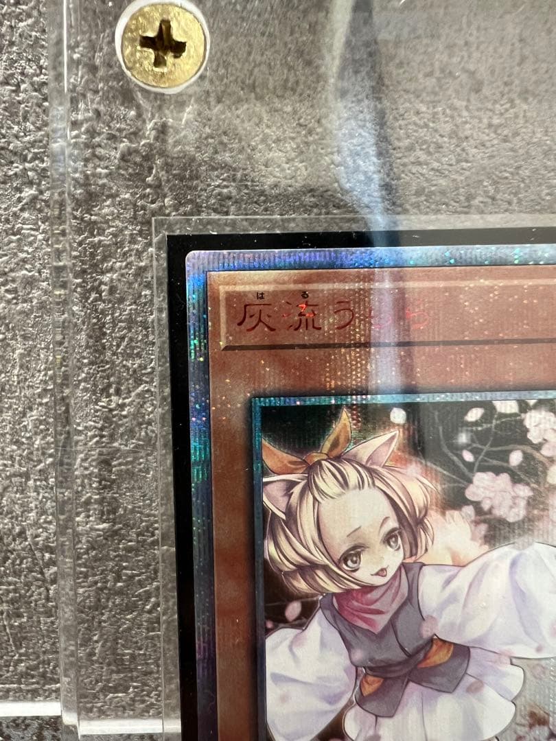 遊戯王OCG 灰流うらら20th & ブルーアイズオルタナティブホワイトドラゴン