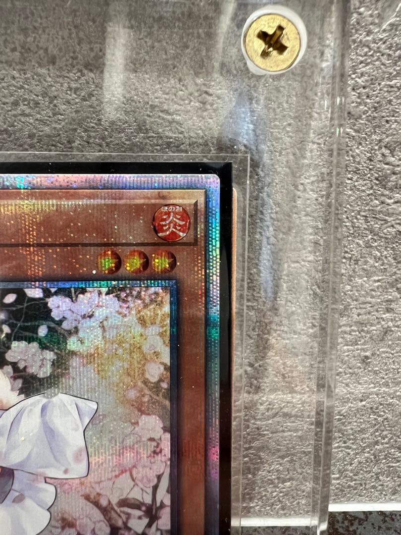 遊戯王OCG 灰流うらら20th & ブルーアイズオルタナティブホワイトドラゴン