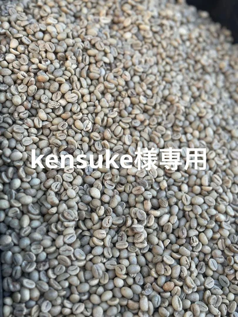 爆安!![コーヒー 生豆 ]ブラジル3kg/モカシダモ3kg/合計6kg