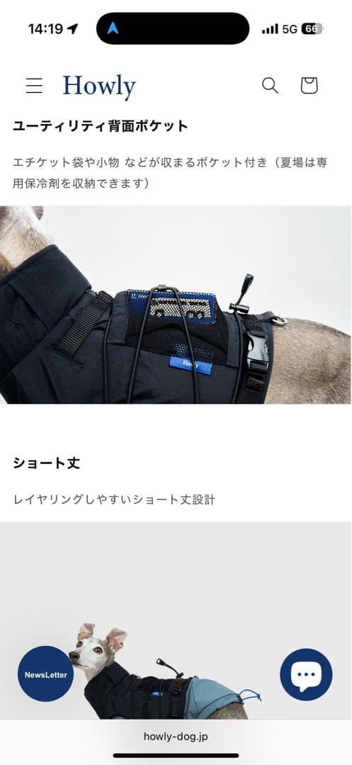 【Mサイズ白】 試着のみHowly FRAME-X ADV HARNESS