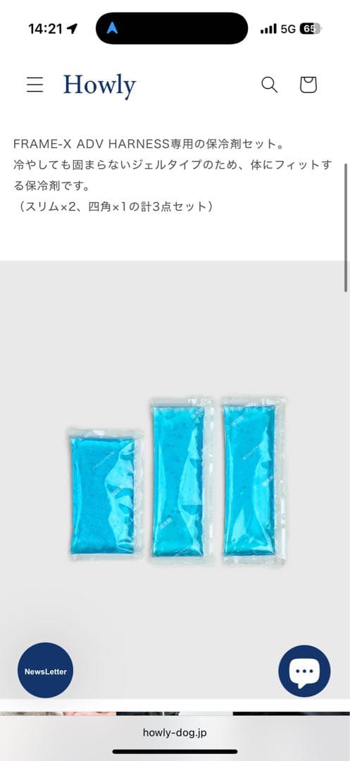 【Mサイズ白】 試着のみHowly FRAME-X ADV HARNESS