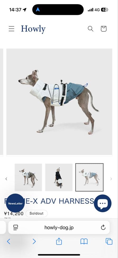 【Mサイズ白】 試着のみHowly FRAME-X ADV HARNESS