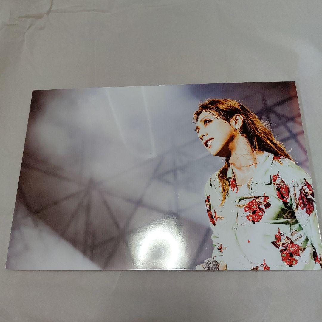 スーパービーバー　渋谷龍太　パネル展