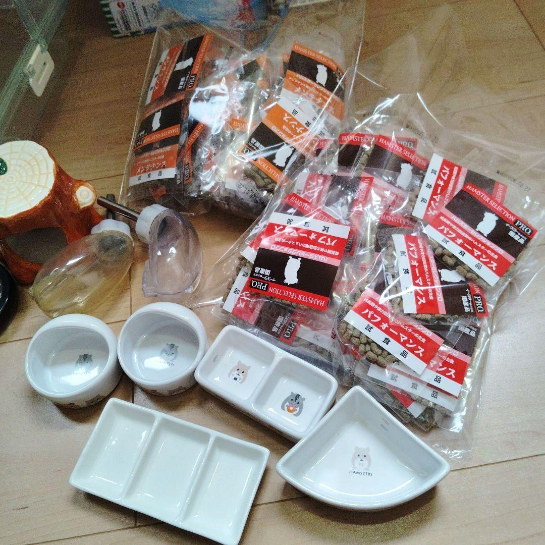 ハリネズミ ハムスター 飼育セット