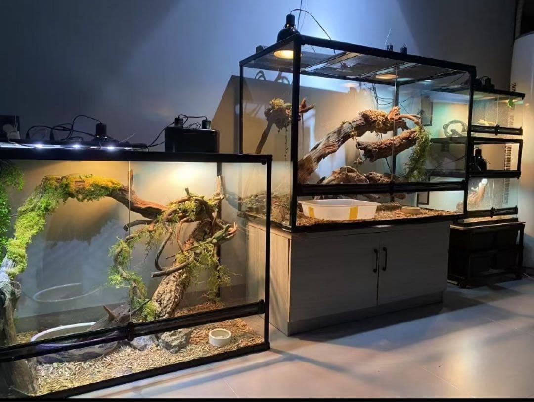 爬虫類用品卸 爬虫類飼育ガラスケージ両生類飼育ケージ603030(cm)送料込み