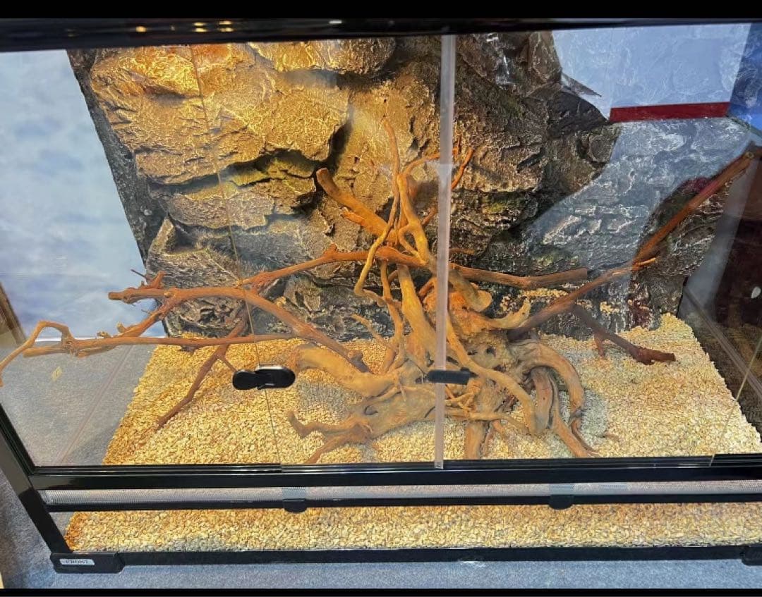 爬虫類用品卸 爬虫類飼育ガラスケージ両生類飼育ケージ603030(cm)送料込み