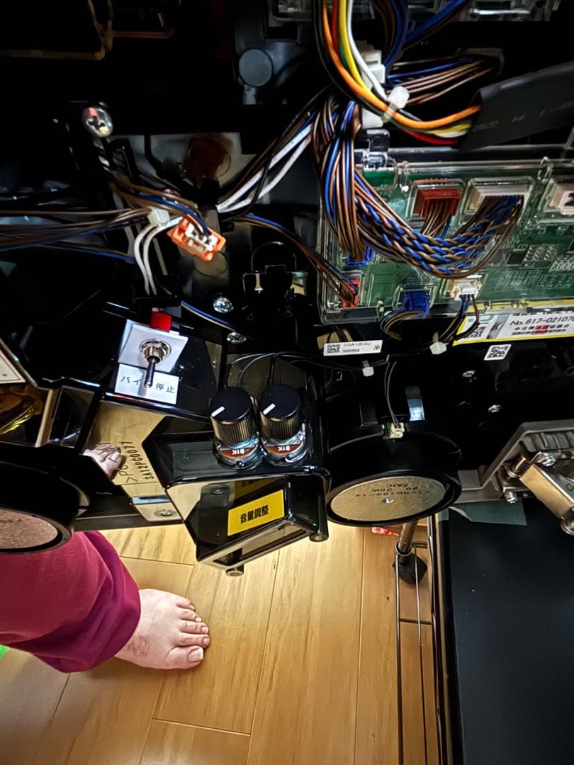 引取り限定大特価戦国乙女２不要機、バイブスイッチ付おまけ有