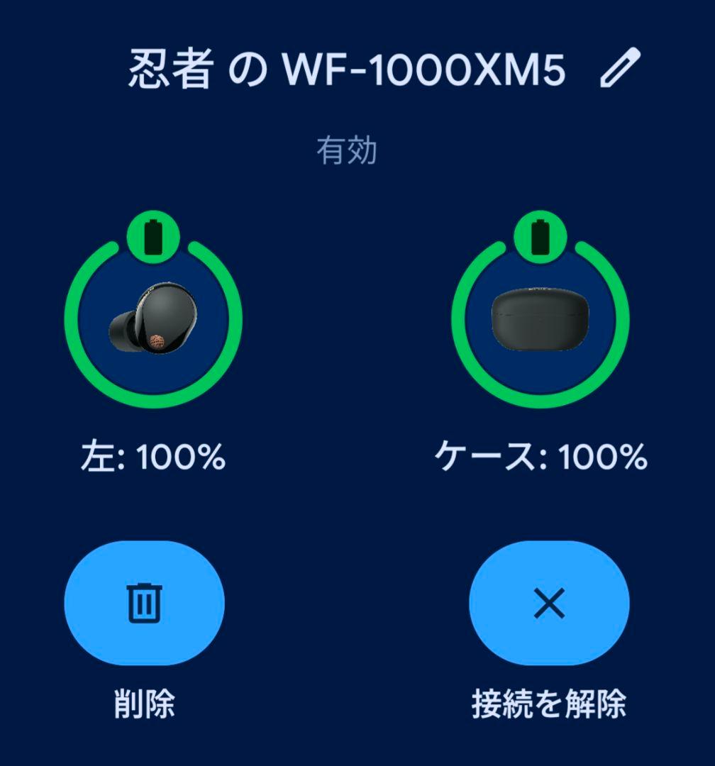 SONY ワイヤレスイヤホン ブラック 充電ケース 換えピース USBケーブル