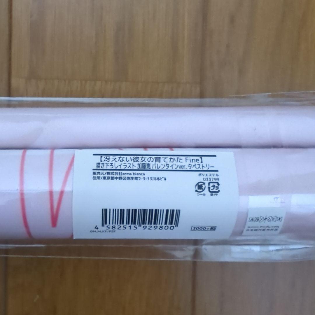 か*読様 冴えない彼女の育てかた 引退品 まとめうり