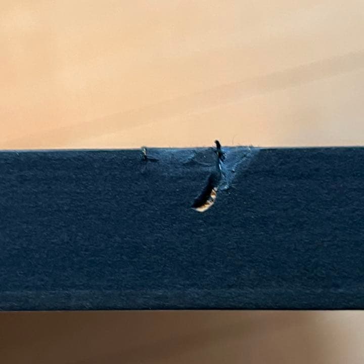 ディープインパクト 武豊 3冠馬 Gallop サンケイスポーツ　競馬 パネル