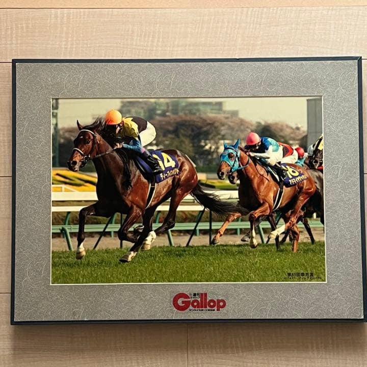 ディープインパクト 武豊 3冠馬 Gallop サンケイスポーツ　競馬 パネル
