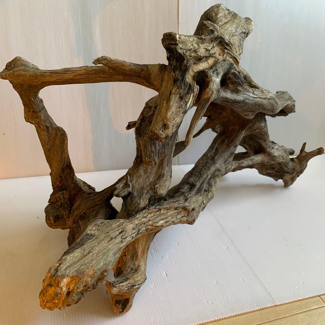 銀*時様 アク抜き済み流木　No.10 超レア型　沈水確認済