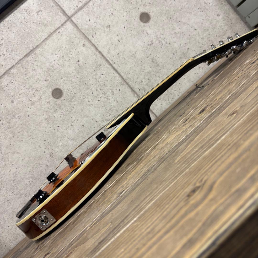 エレキマンドリン Aria AM-20E ピックアップ搭載 ケース2個付き