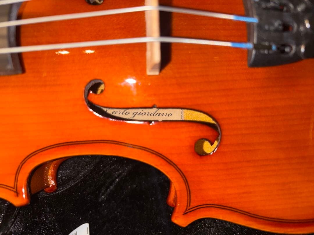 Carlo Giordano カルロジョルダーノ1/8 バイオリン VS-1