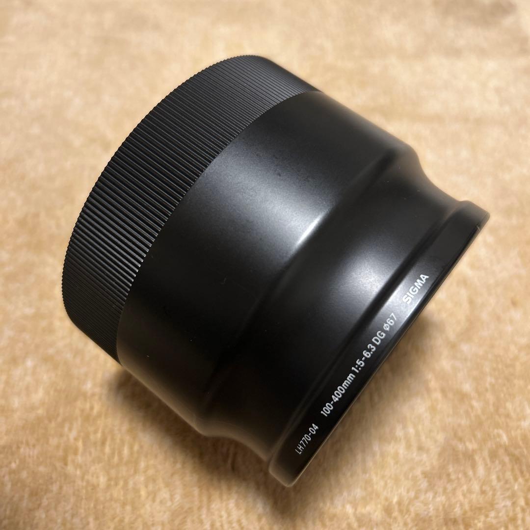 SIGMA 100-400mm F5-6.3 DG ズームレンズ