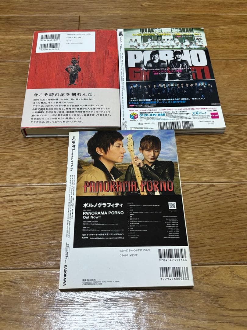 ポルノグラフィティまとめ売り 会報 ライブパンフレットなど