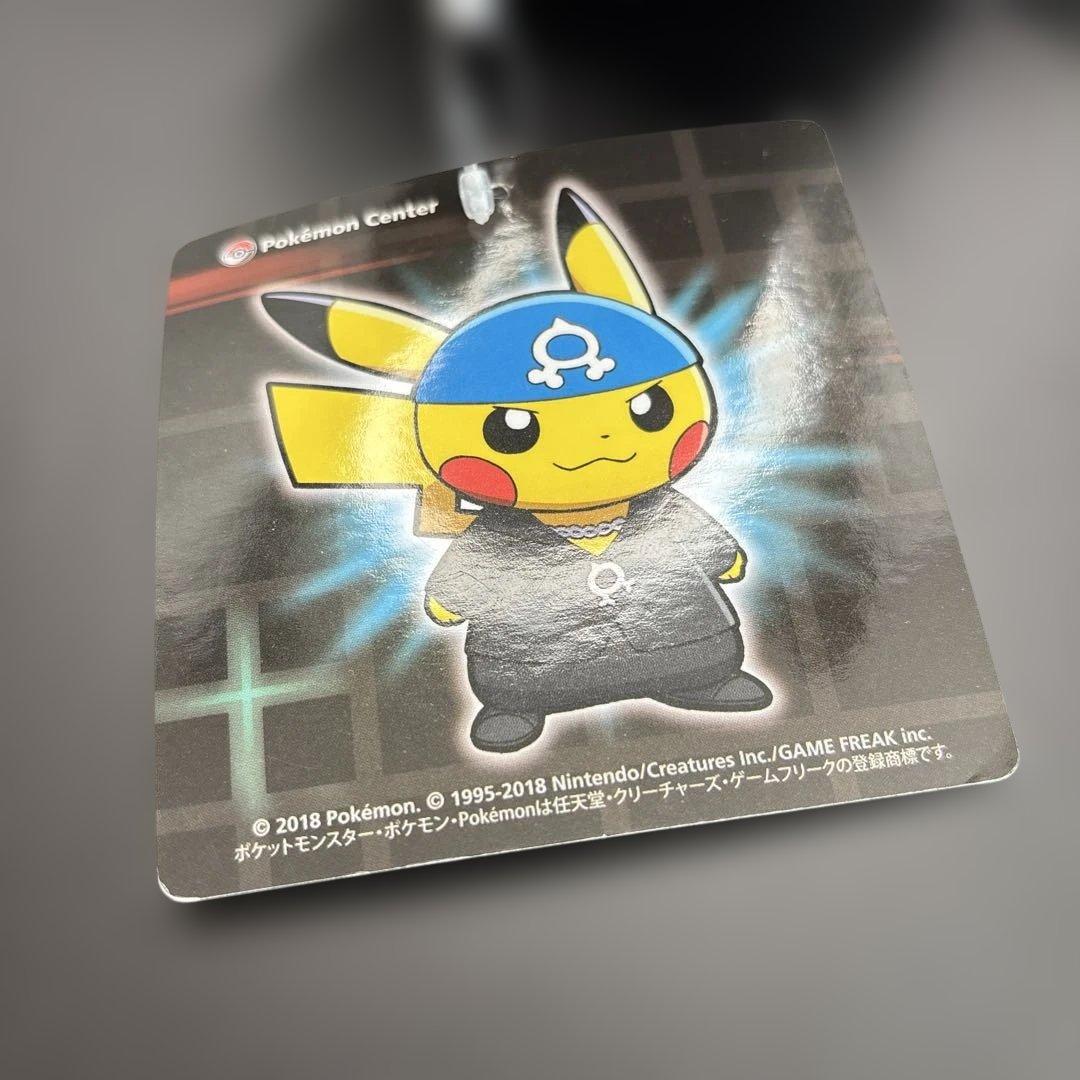 ポケモン　ぬいぐるみ　ボスごっこピカチュウ　アクア団　アオギリ