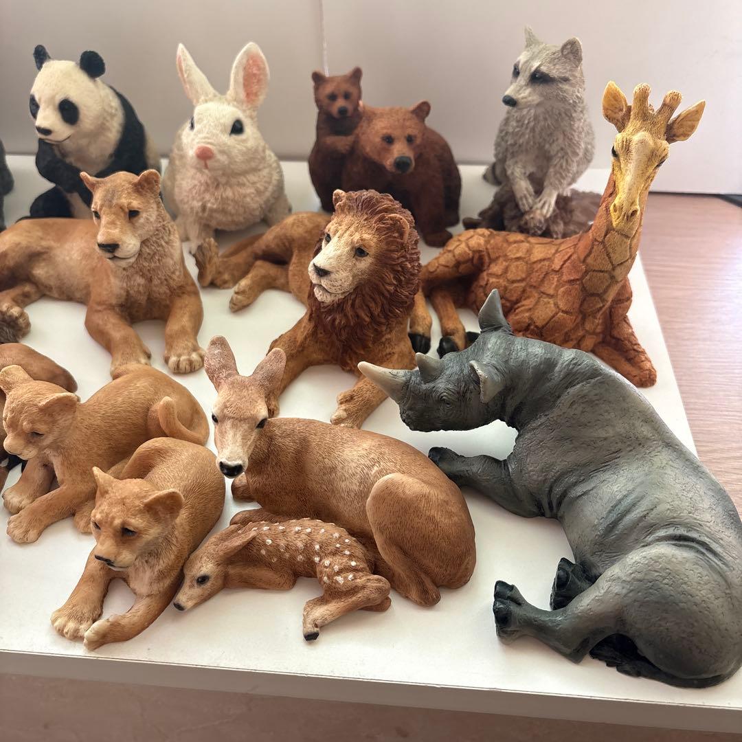 Castagna カスターニャ　20体