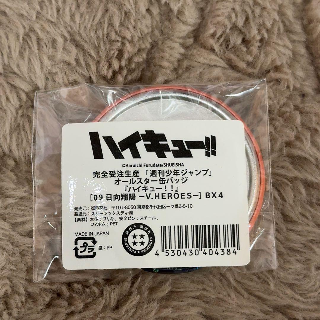 【ハイキュー!!】日向翔陽