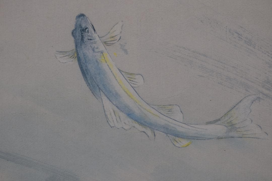 【真作】杉原元人/鮎図/群鮎渓流図/掛軸☆宝船☆Z-377